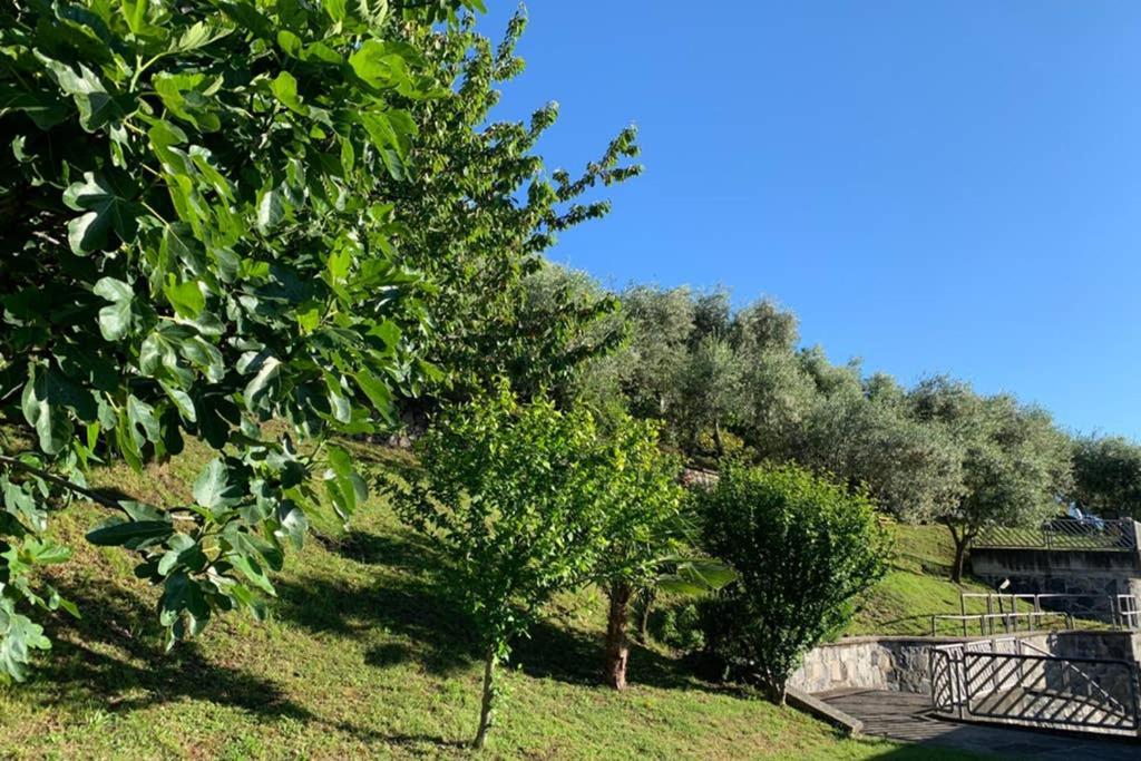 Fonteno Cozy House On Iseo Lake מראה חיצוני תמונה